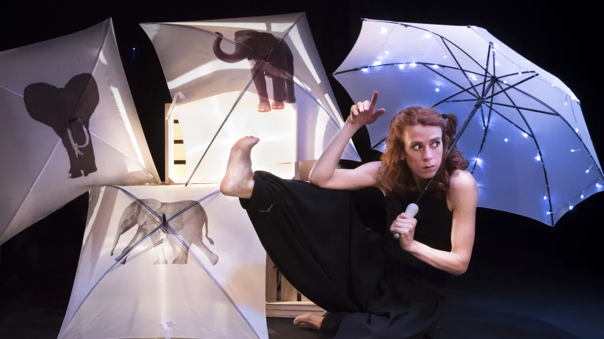 30 elefants sota un paraigua - La Petita Malamaluga (CANVI ESPECTACLE "Núvols per nadons")